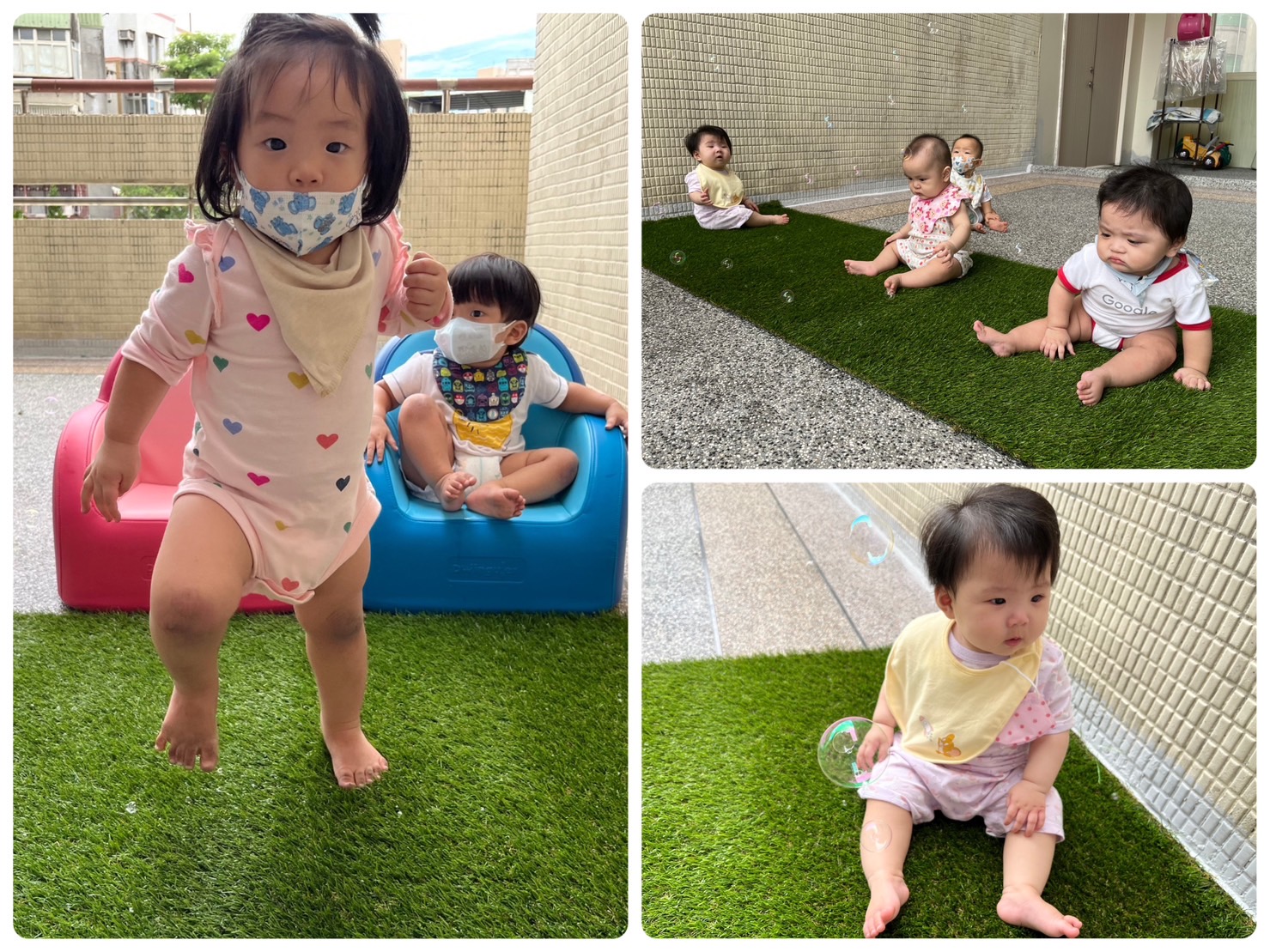 真假草地觸覺新體驗