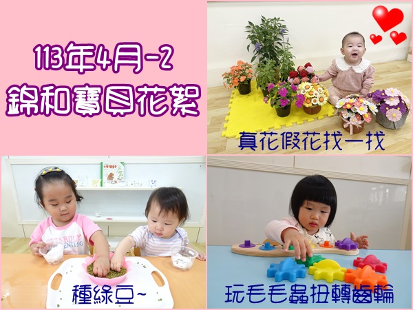 113年4月-2錦和寶貝花絮
