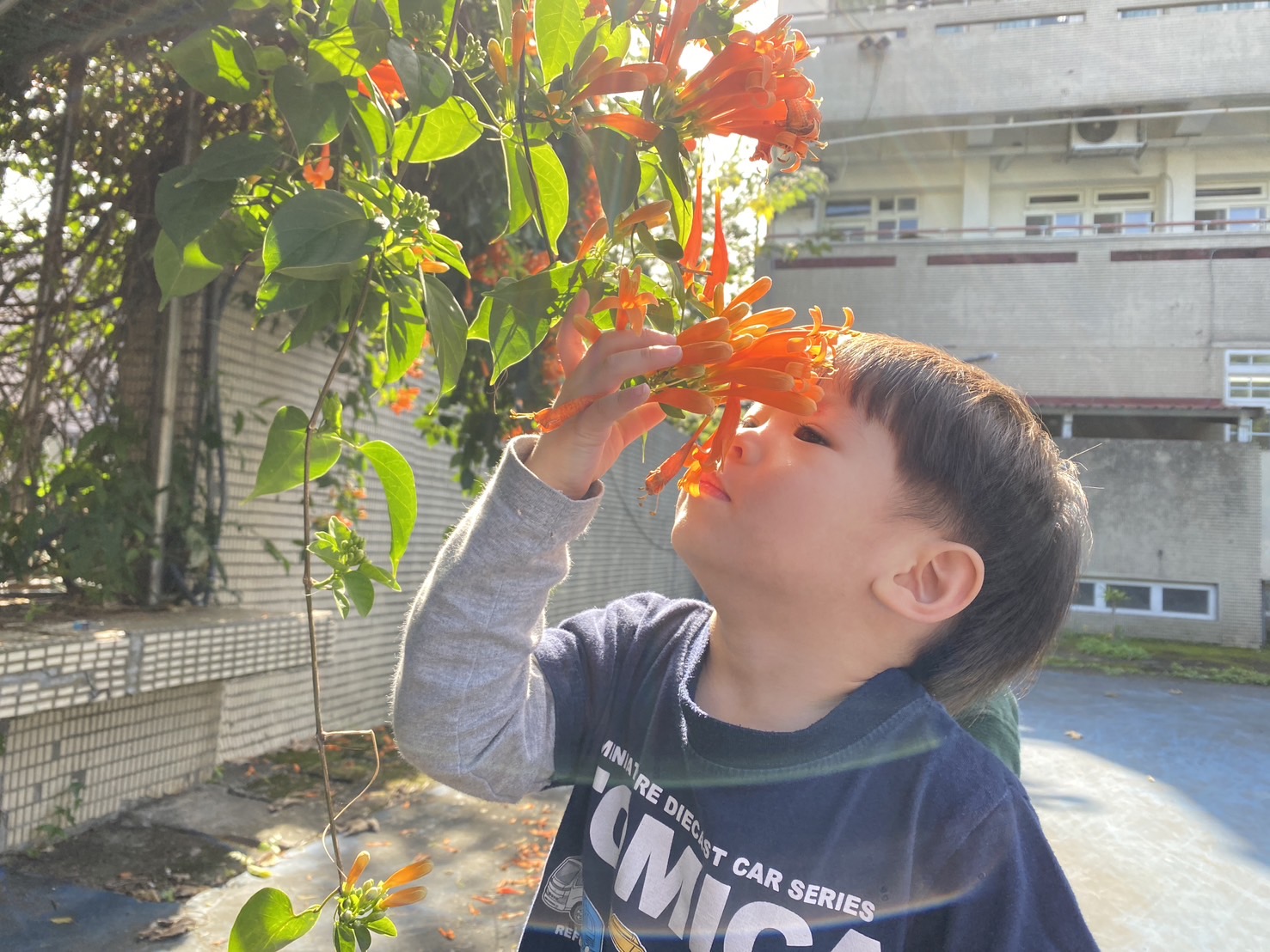 跟著孩子一起探索